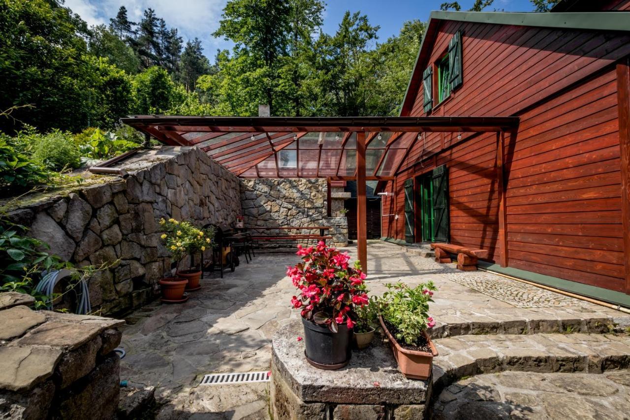 Bukowy Zdroj Villa Krynica Zdrój Kültér fotó