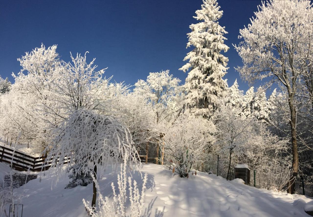 Bukowy Zdroj Villa Krynica Zdrój Kültér fotó