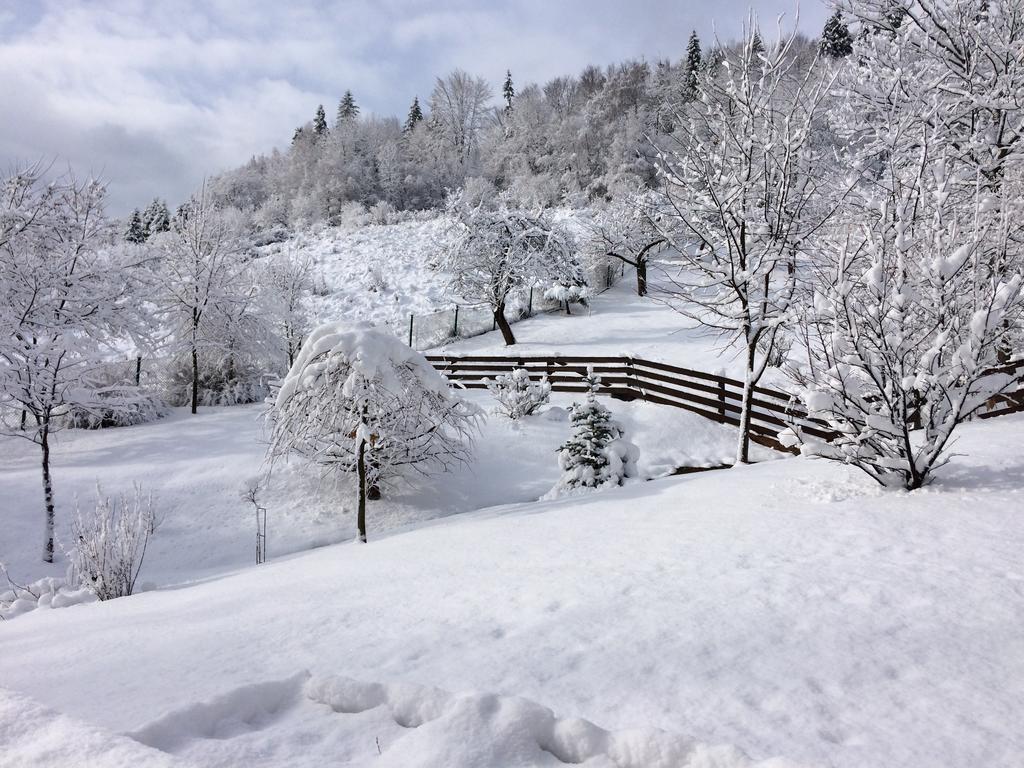 Bukowy Zdroj Villa Krynica Zdrój Kültér fotó