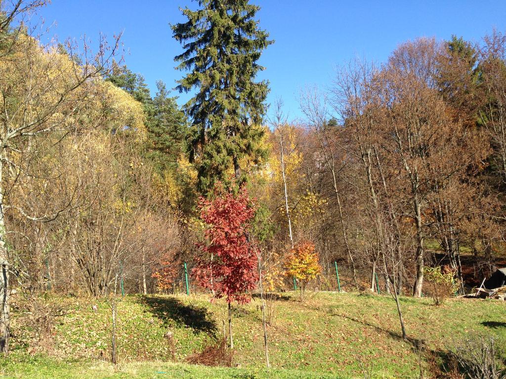Bukowy Zdroj Villa Krynica Zdrój Kültér fotó